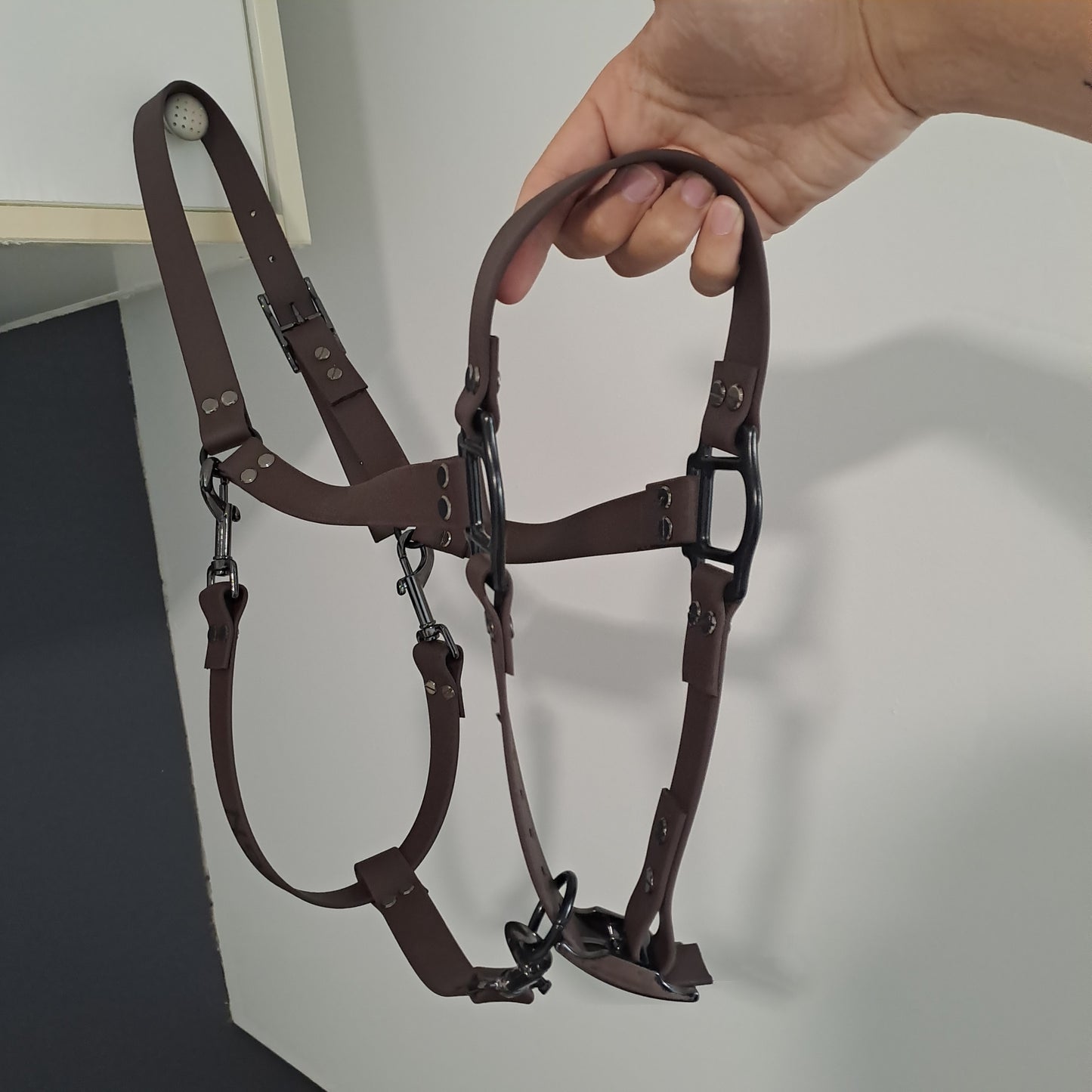 Biothane horse halter