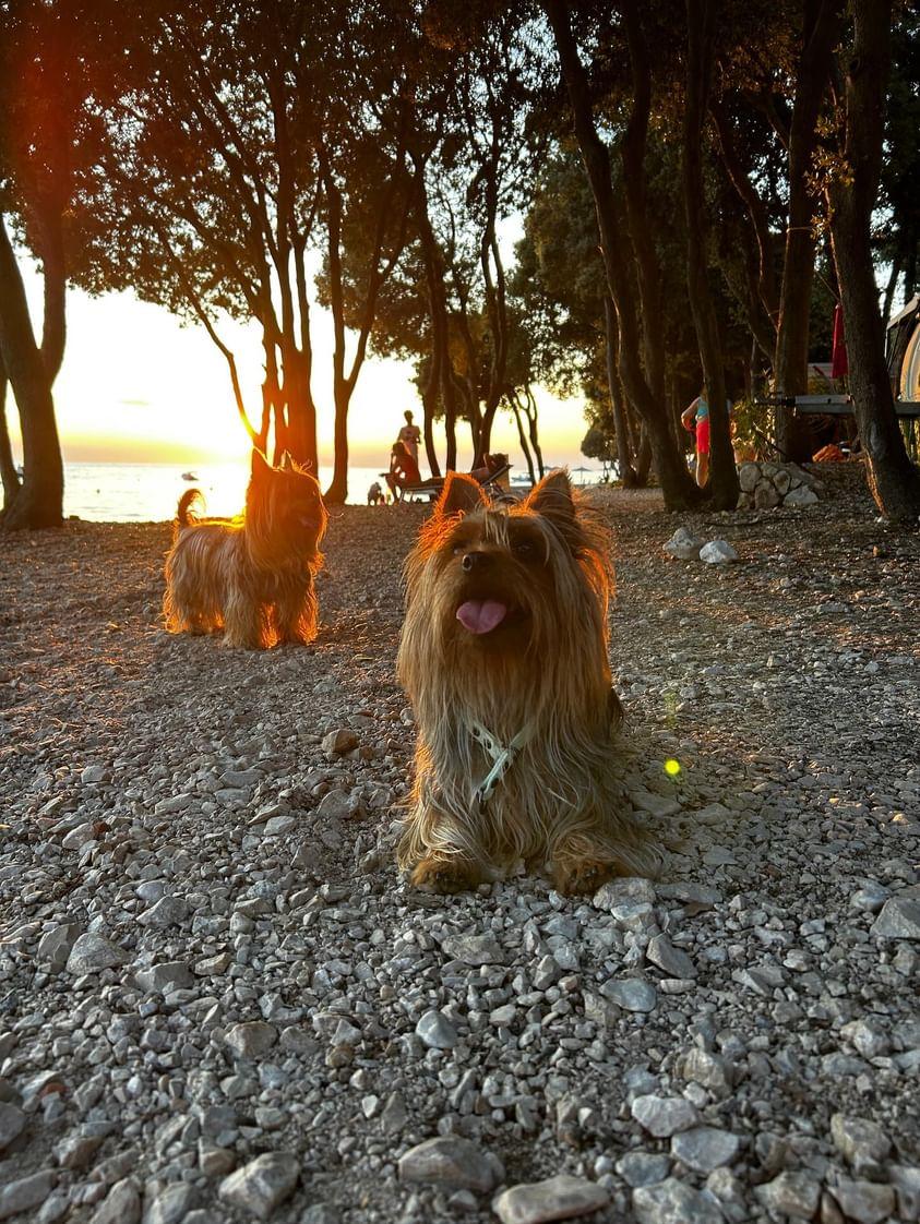 Slip collar Waterproof 16mm