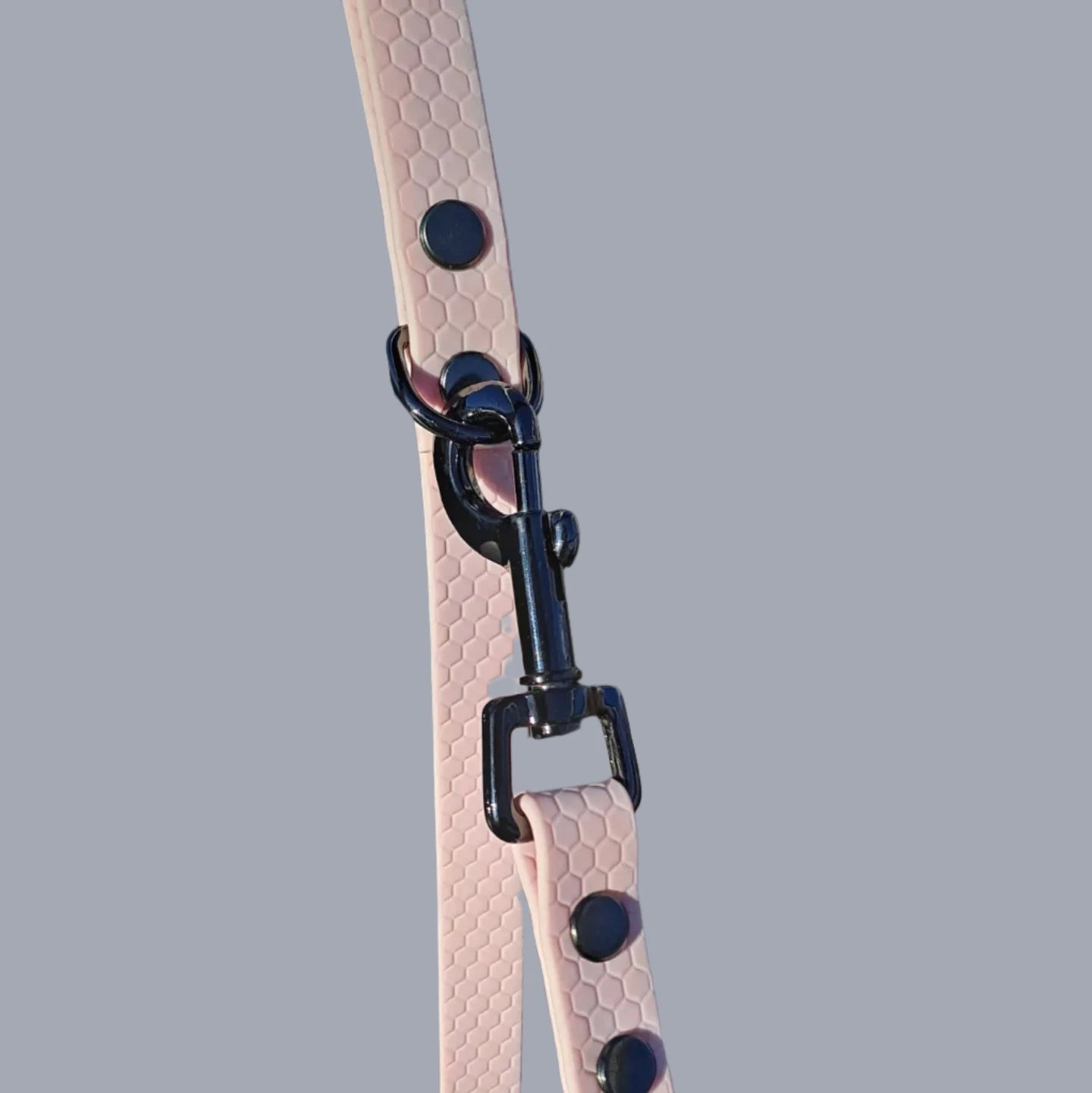 leash basic waterproof