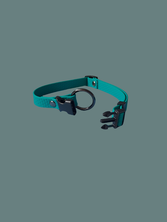 Dog collar classic