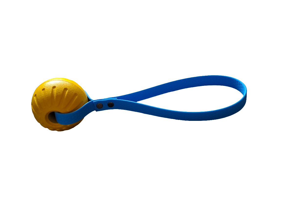 ball toy