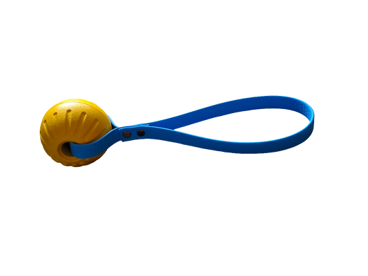 ball toy