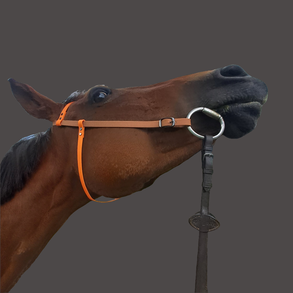 Horse western bridle waterproof