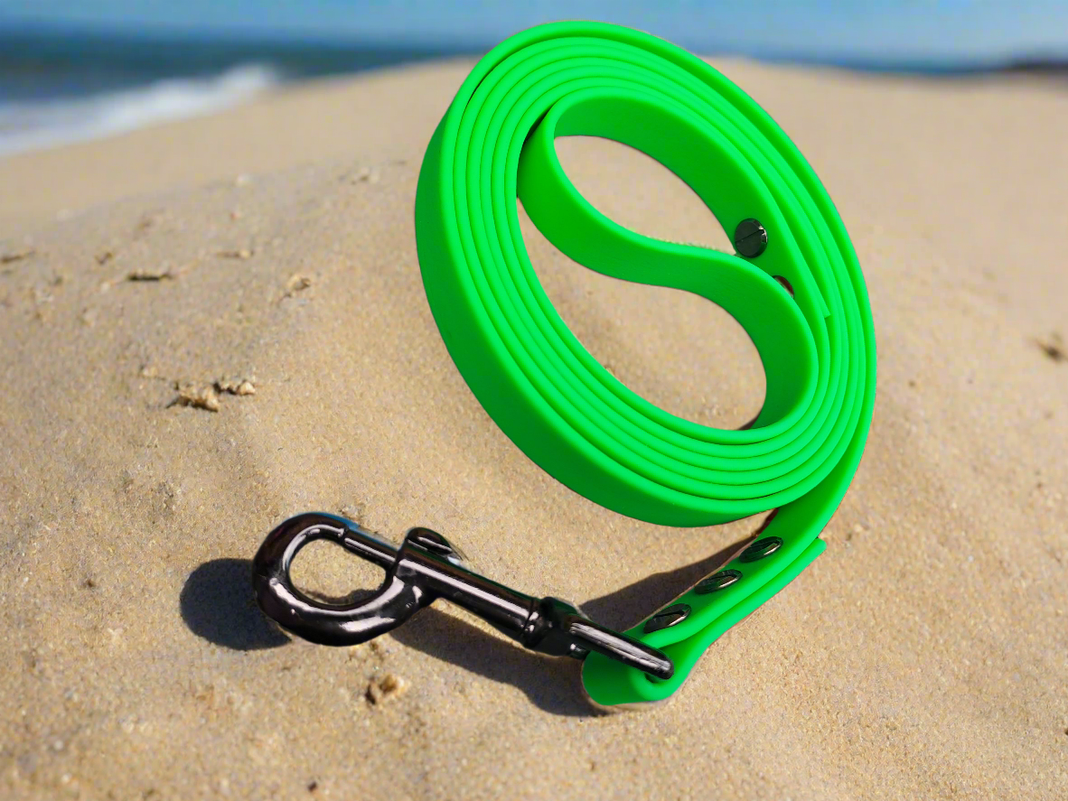BioThane basic leash