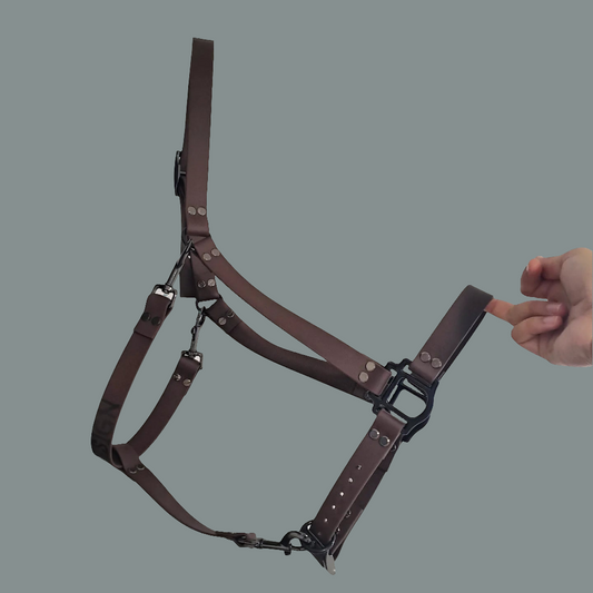 Biothane horse halter