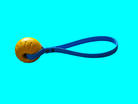 ball toy