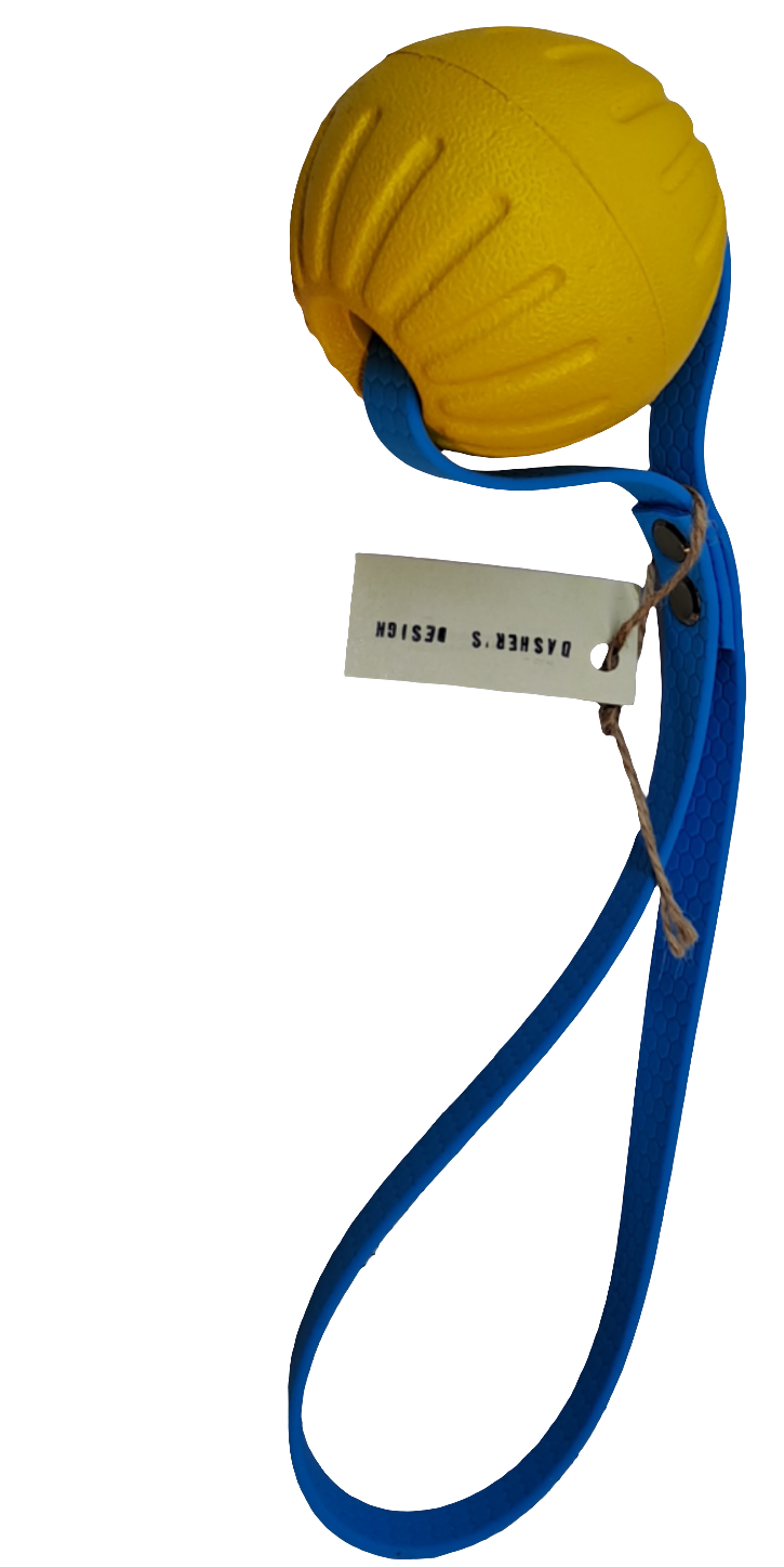 ball toy