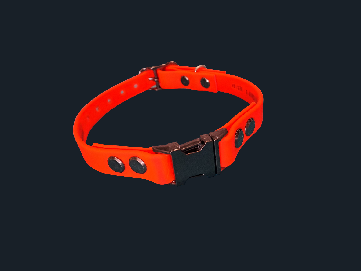 e-collar/GPS Biothane adjustable strap 16mm
