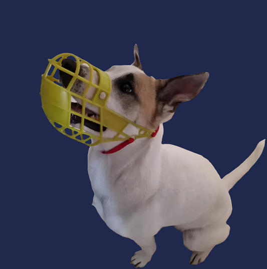 Dog muzzle with biothane straps