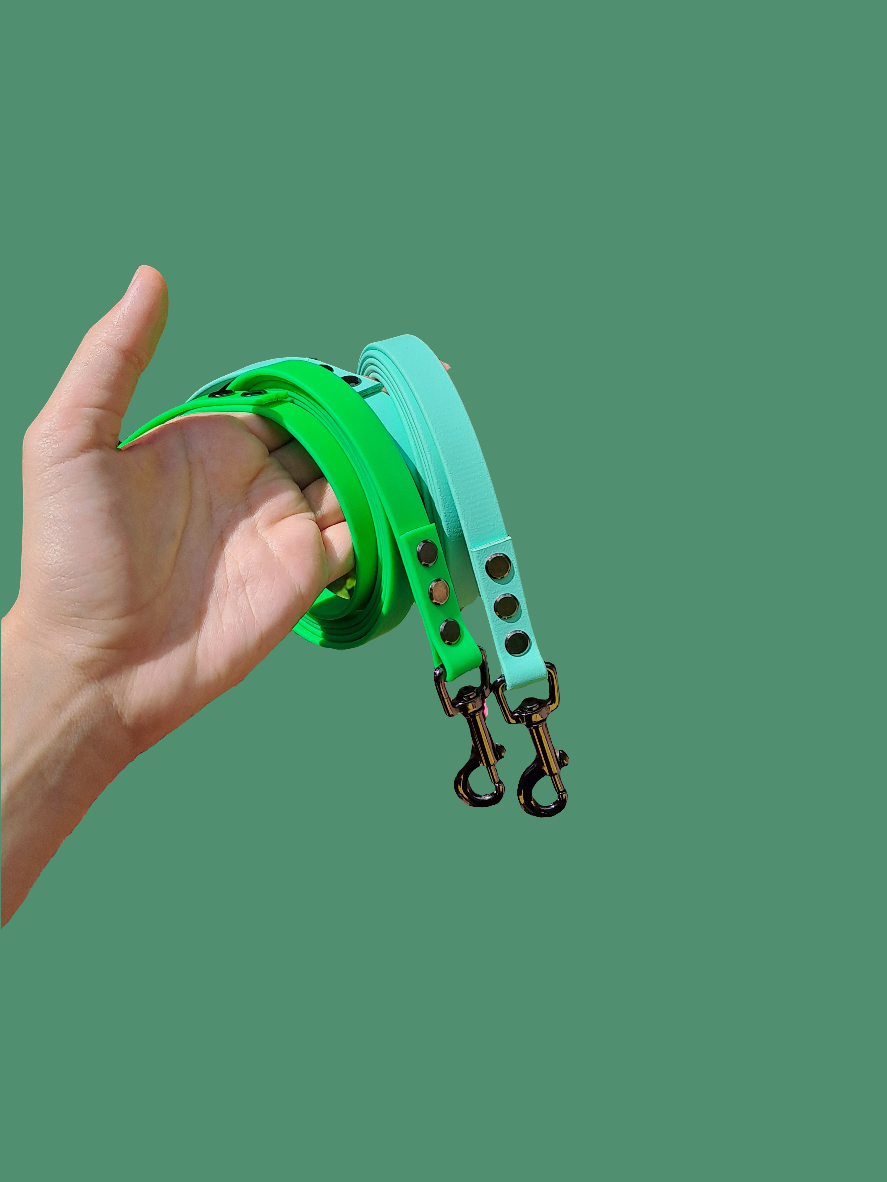 BioThane basic leash