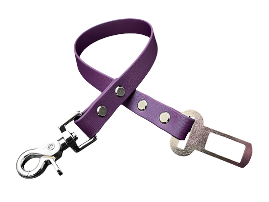 Car seatbelt leash BioThane