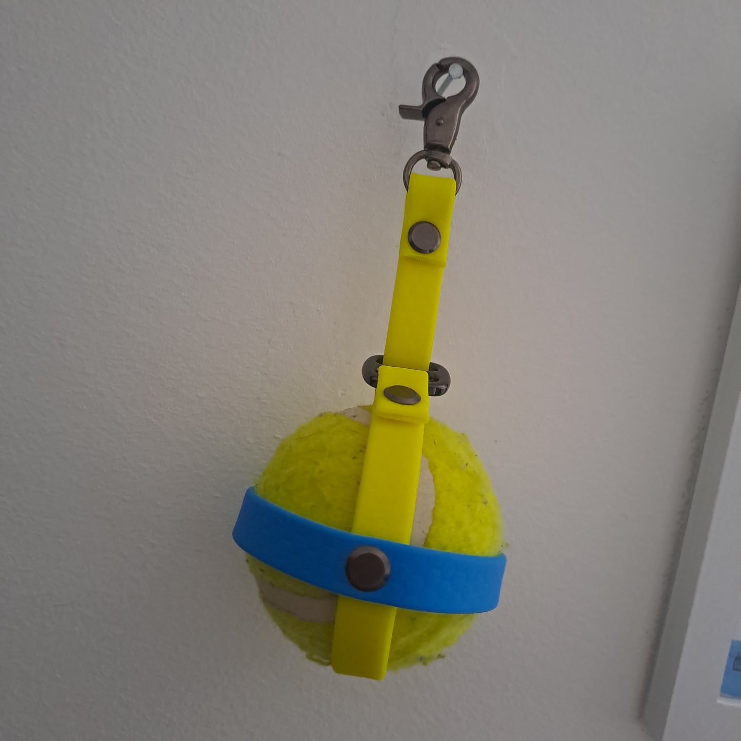 Ball holder