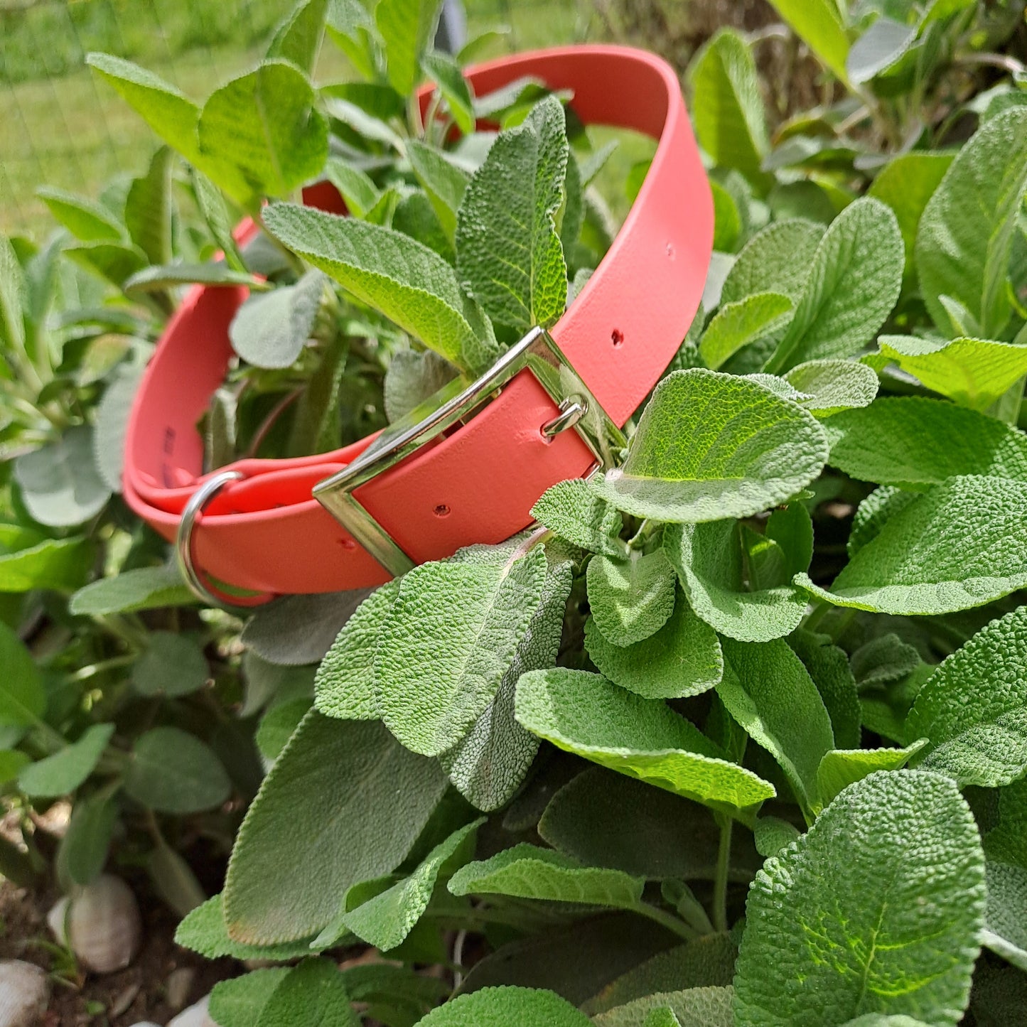 Collar 25mm BioThane