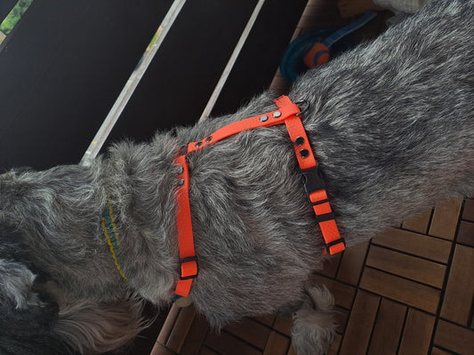AnatomK9 harness