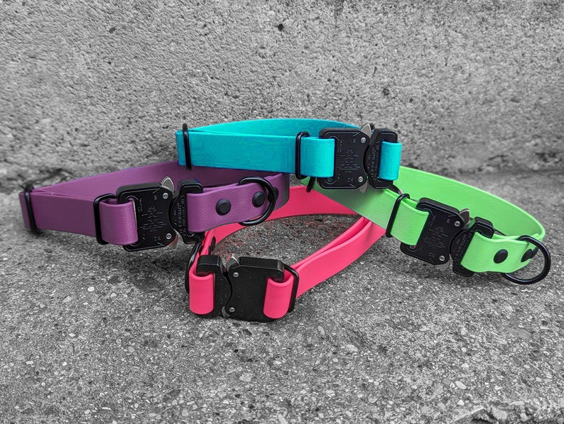 Cobra buckle biothane collar