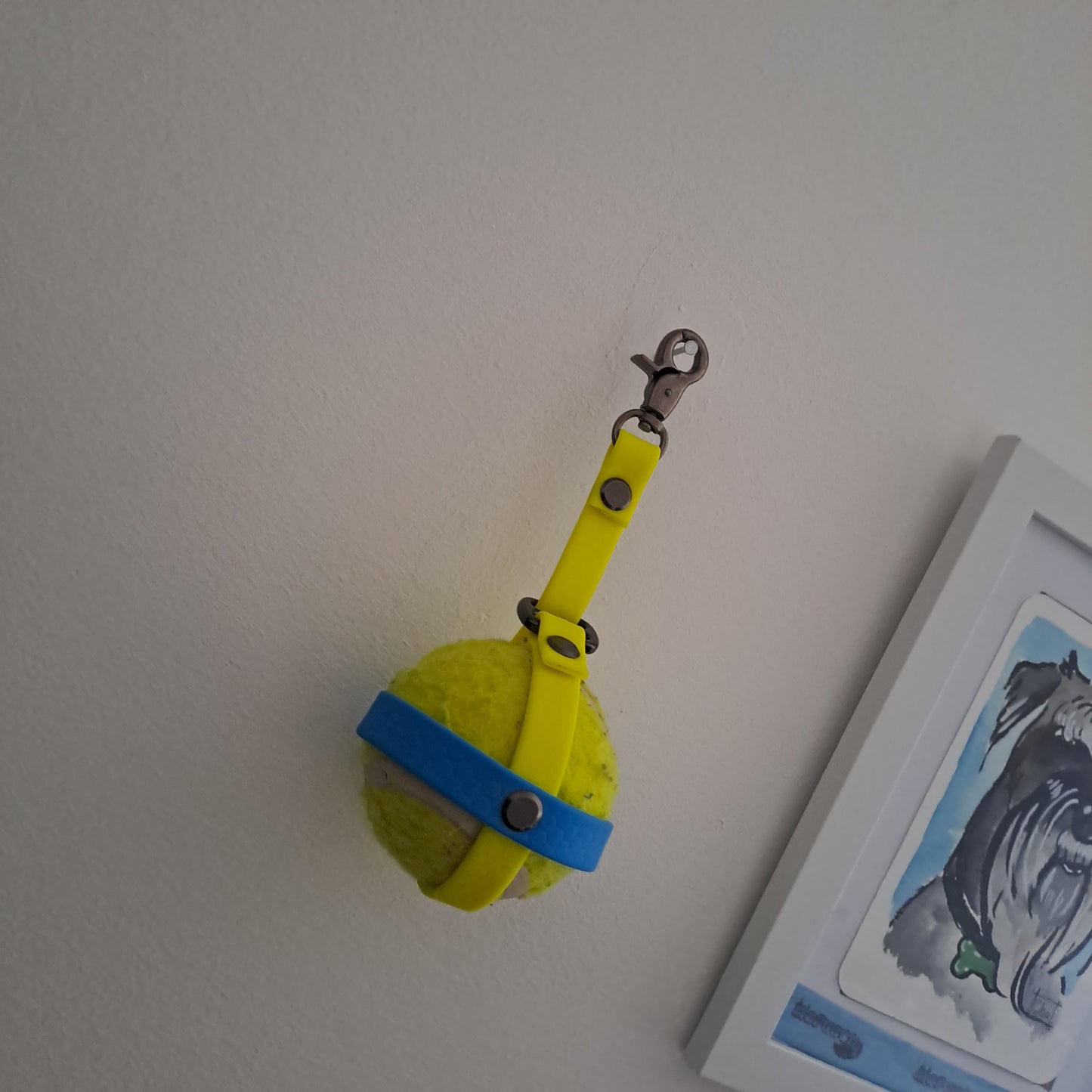 Ball holder