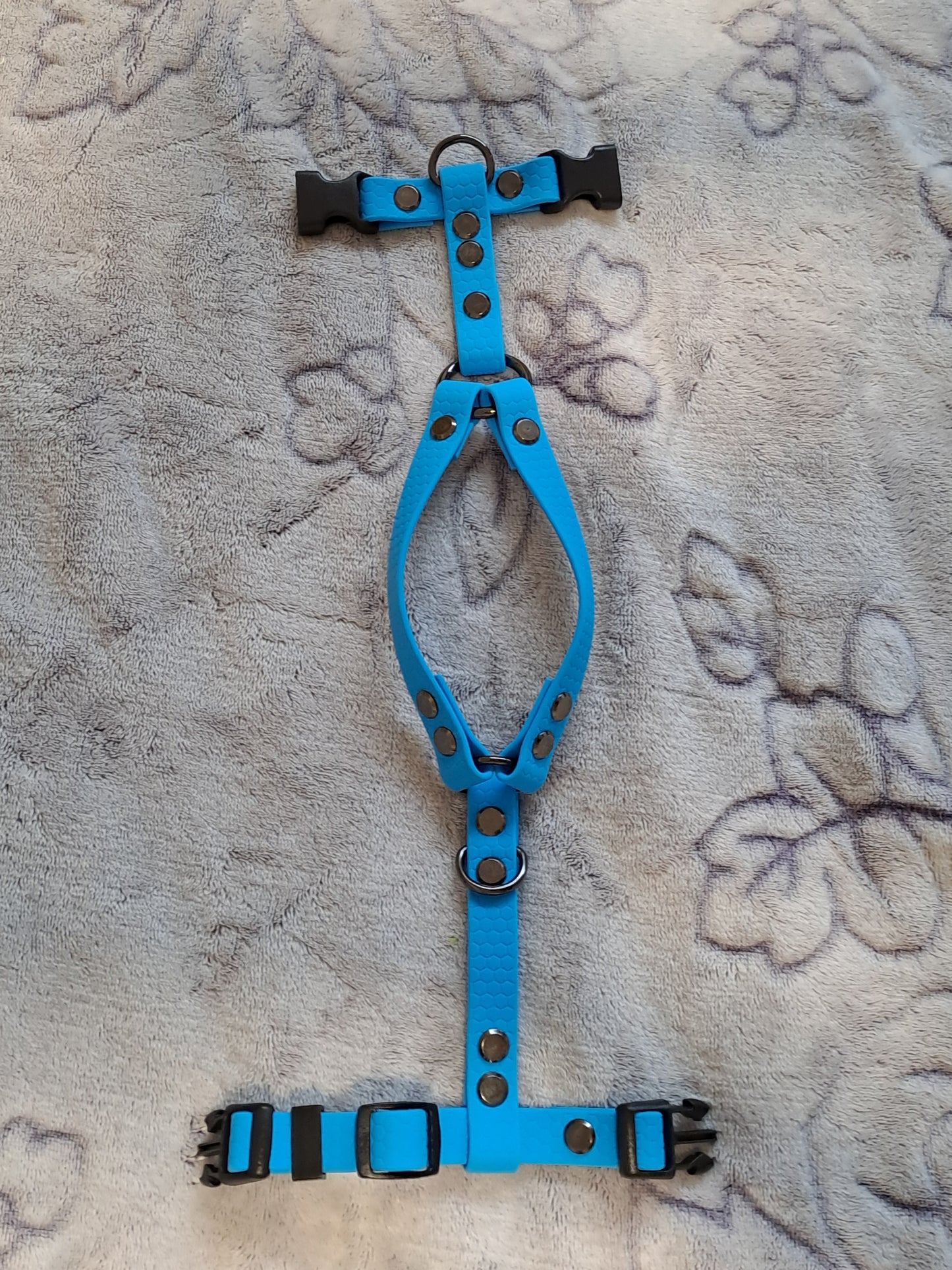 AnatomK9 harness