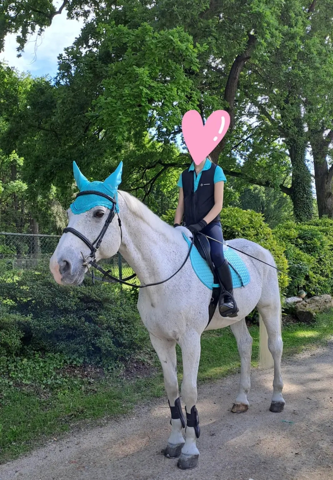 Saddle blanket horse - podsedelnica