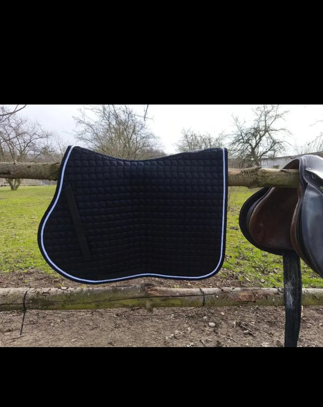 Saddle blanket horse - podsedelnica
