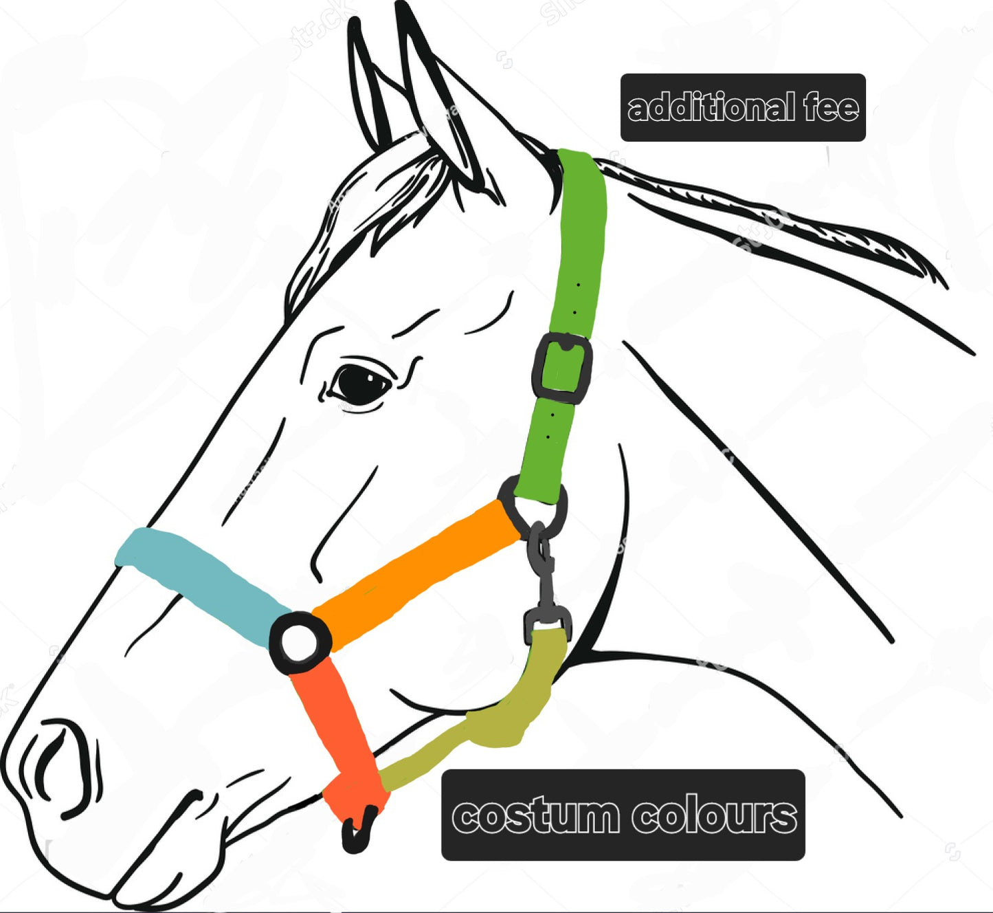 Biothane horse halter