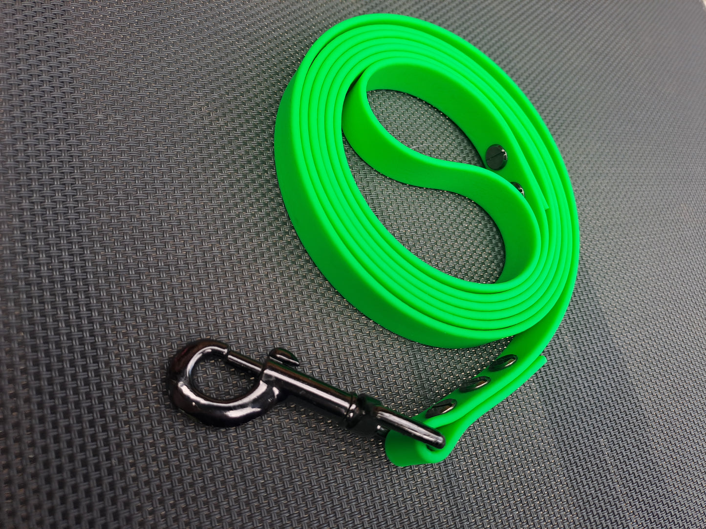 BioThane basic leash