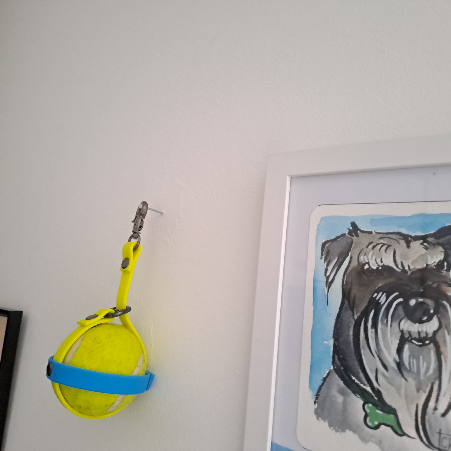 Ball holder