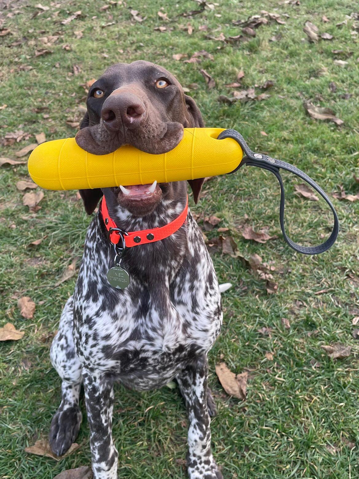 Bumper aport FLOAT toy