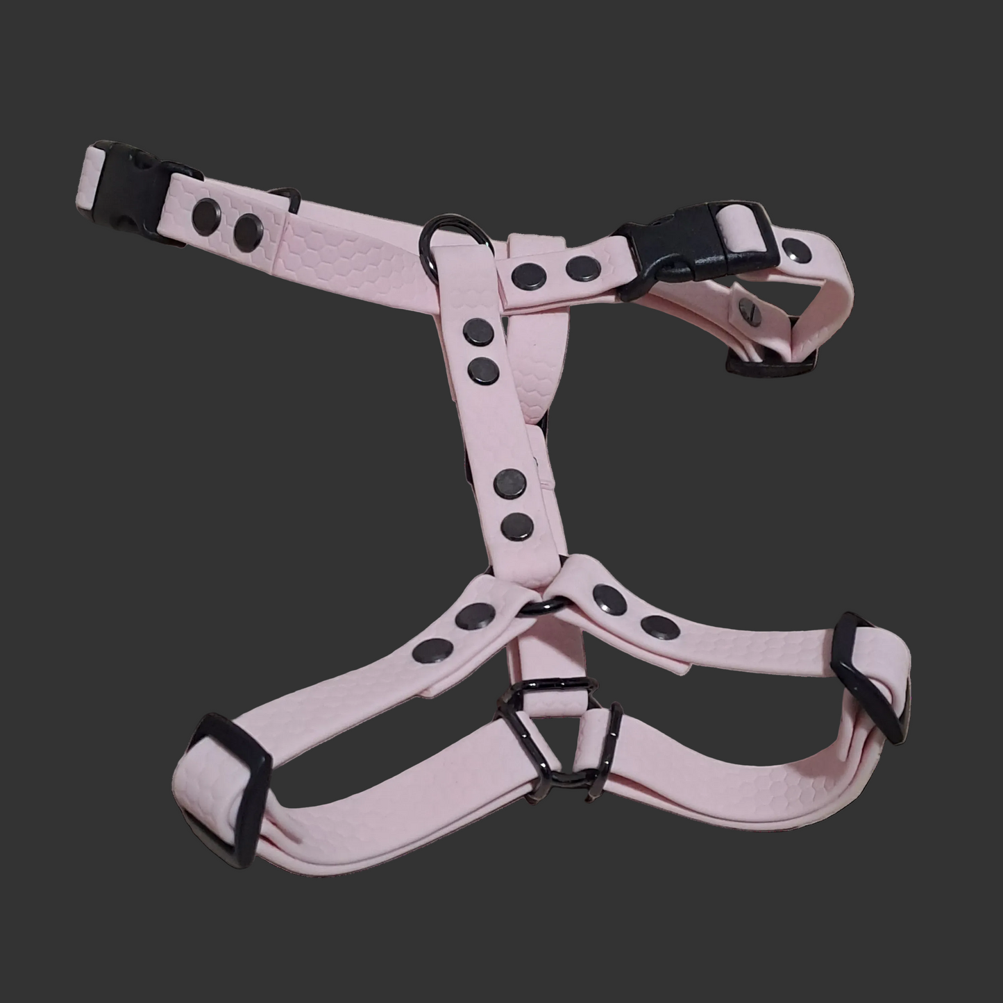 AnatomK9 harness