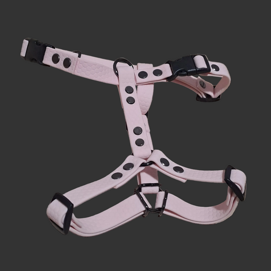 AnatomK9 harness