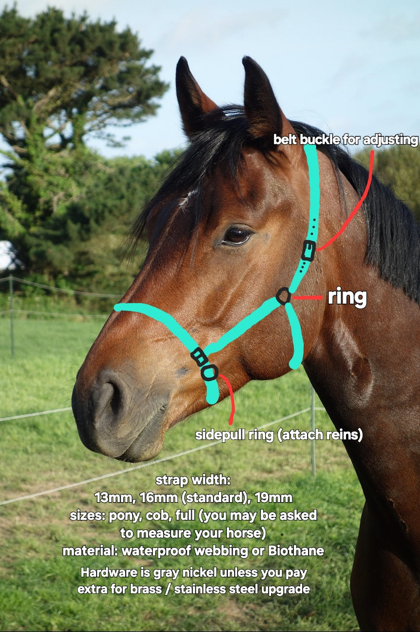 Bridle sidepull bitless