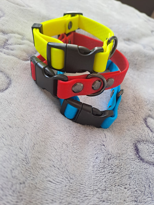 Dog collar classic