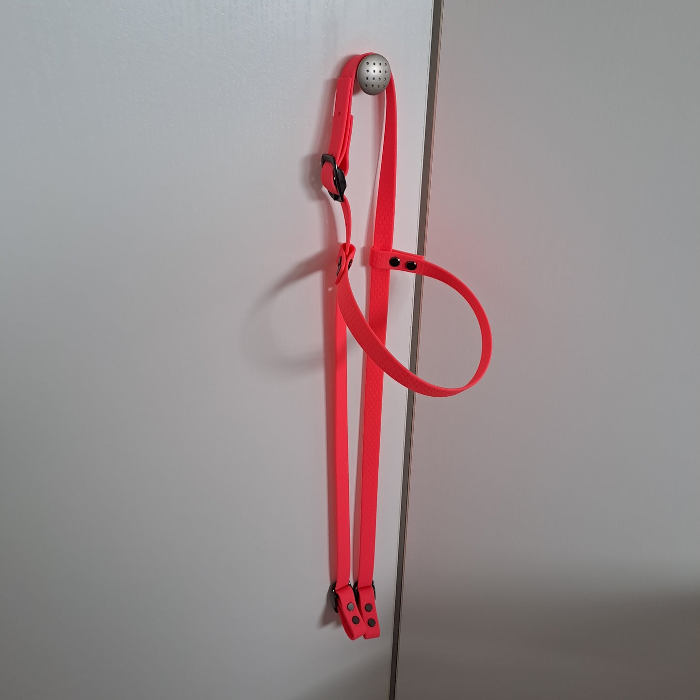 Horse western bridle waterproof