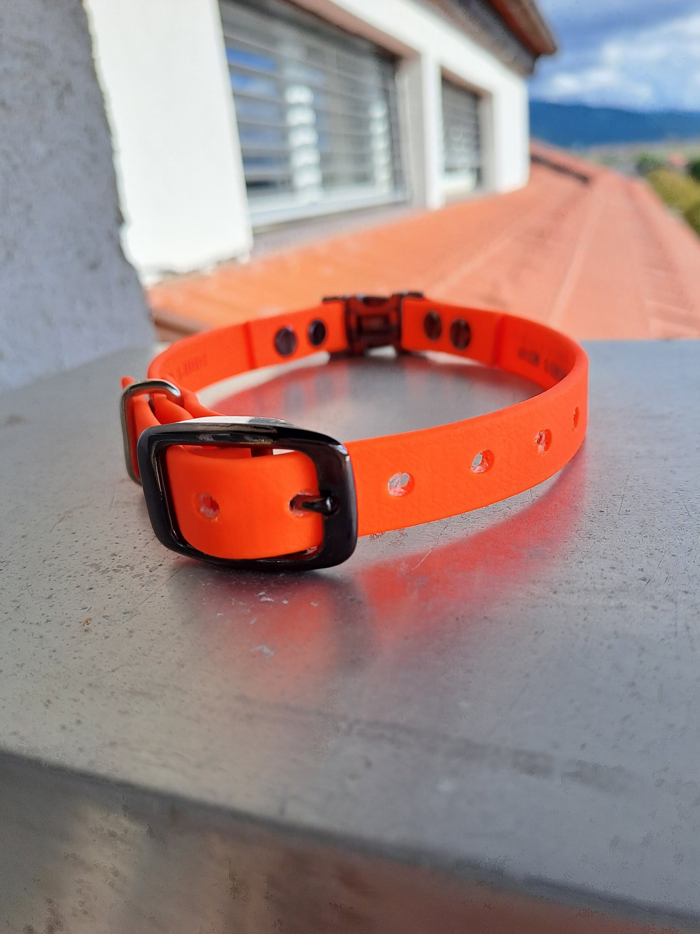 e-collar/GPS Biothane adjustable strap 16mm