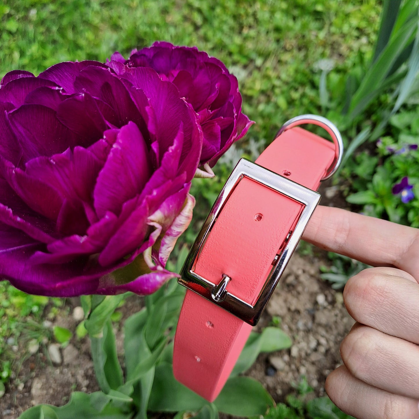 Collar 25mm BioThane