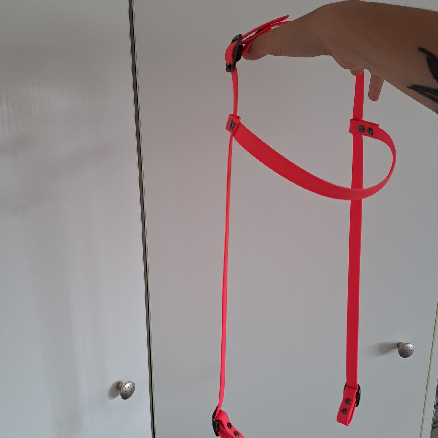 Horse bridle without Throathlatch