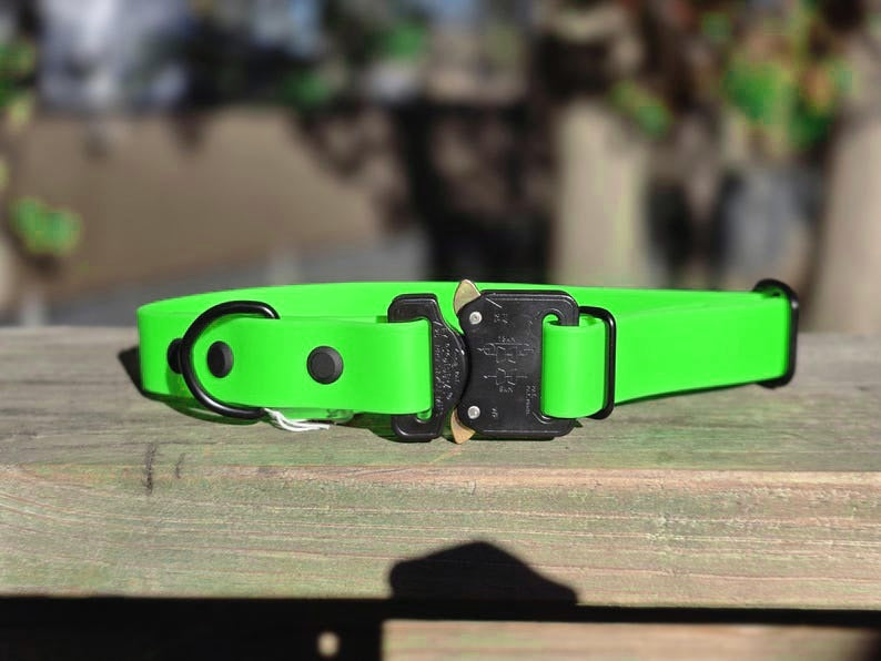 Cobra buckle biothane collar