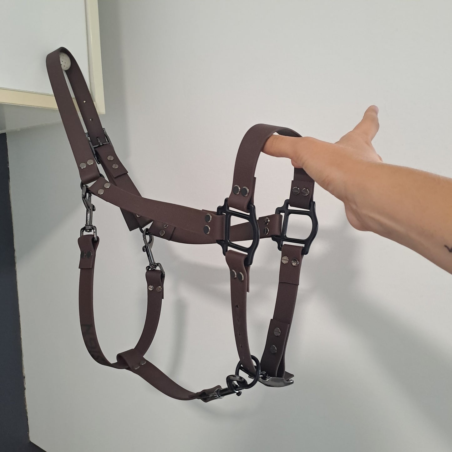 Biothane horse halter