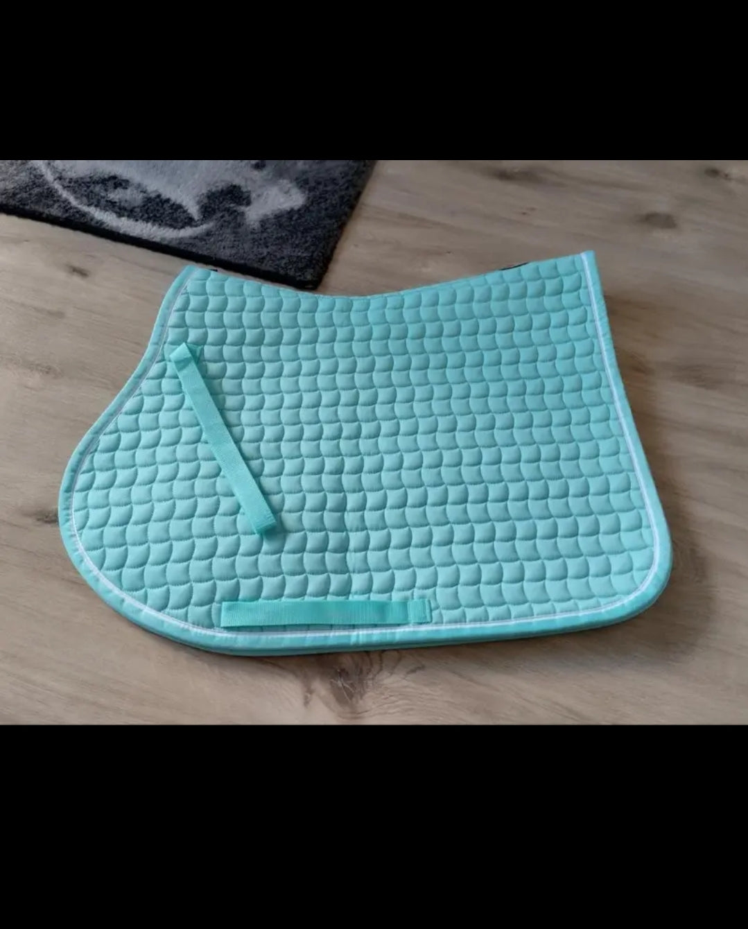 Saddle blanket horse - podsedelnica