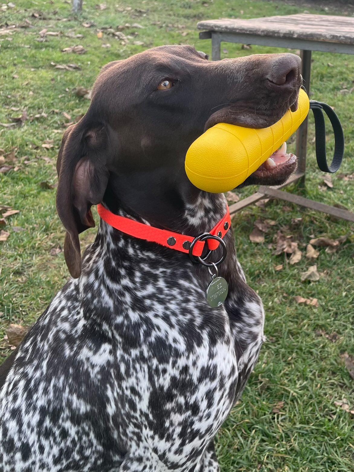 Bumper aport FLOAT toy