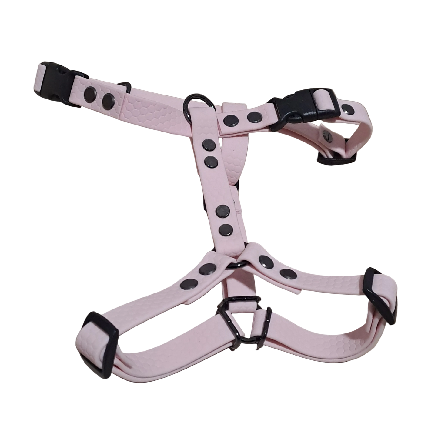 AnatomK9 harness