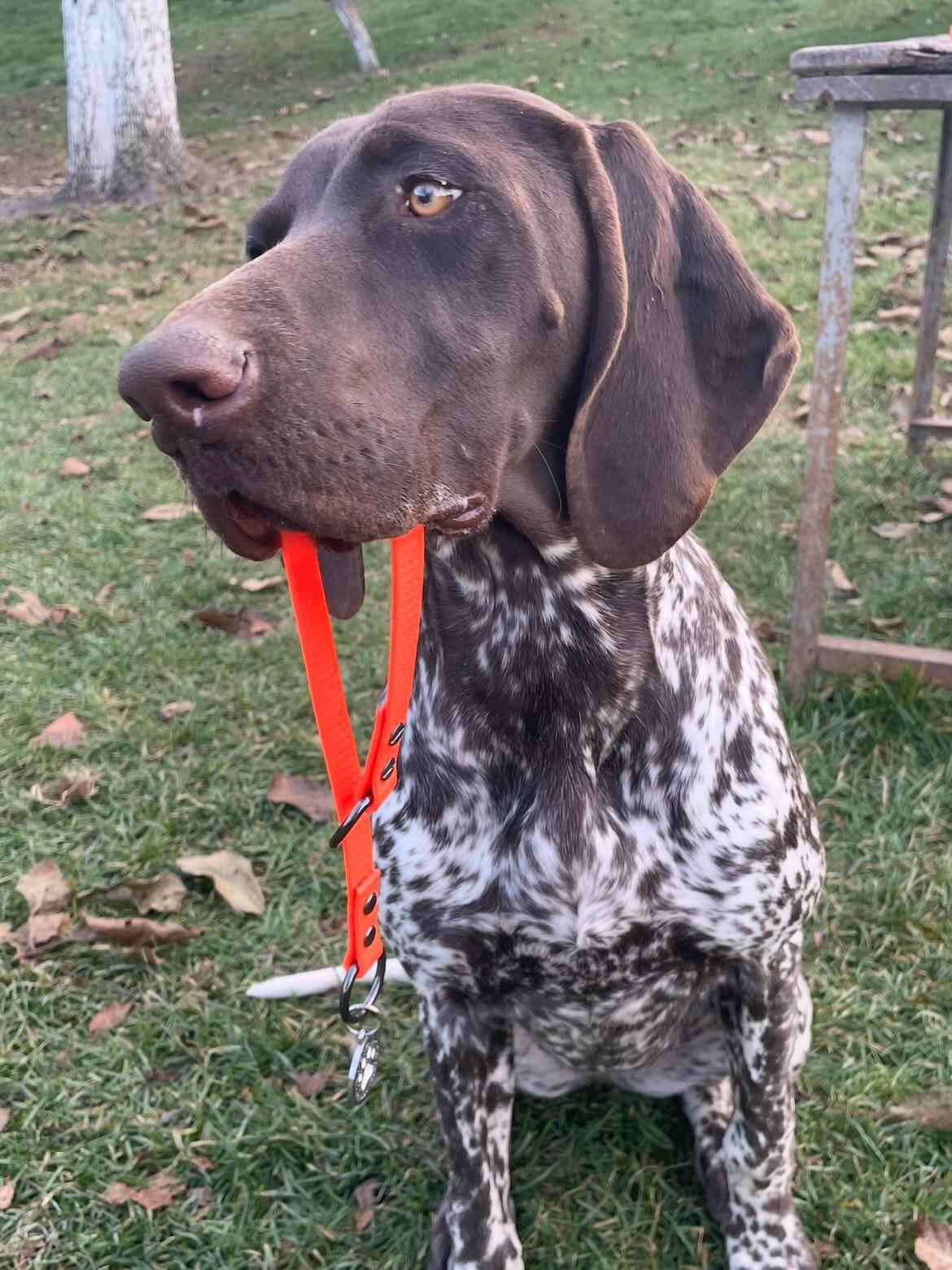 Slip collar Waterproof 16mm