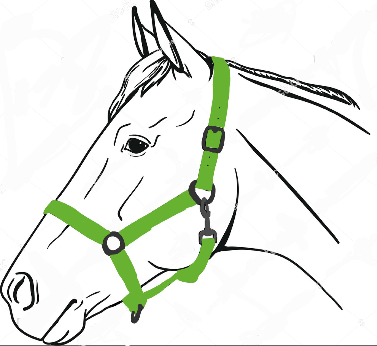 Biothane horse halter