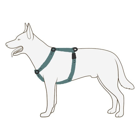 AnatomK9 harness